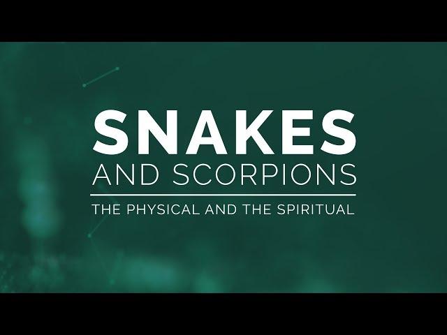 Snakes and Scorpions: The Physical and the Spiritual - 119 Ministries