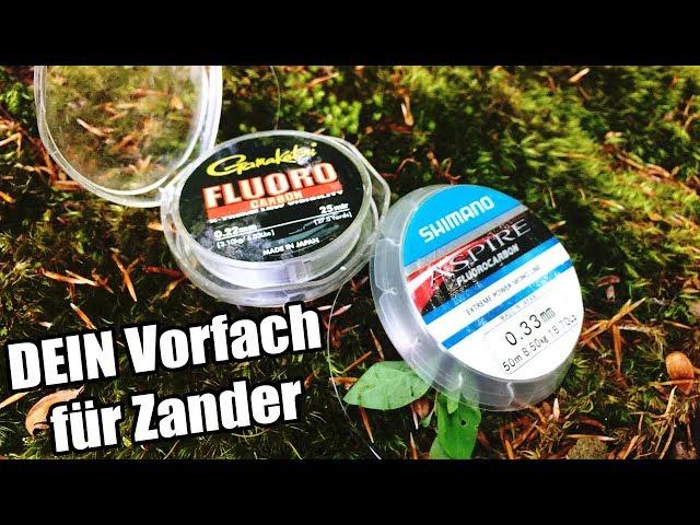 Zander Vorfach | Mach NICHT diese Fehler!