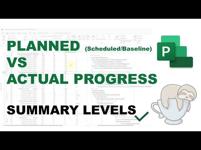 Planned (Scheduled/Baseline) vs Actual (%)Progress/Complete (Summary Level) Microsoft Project 2021