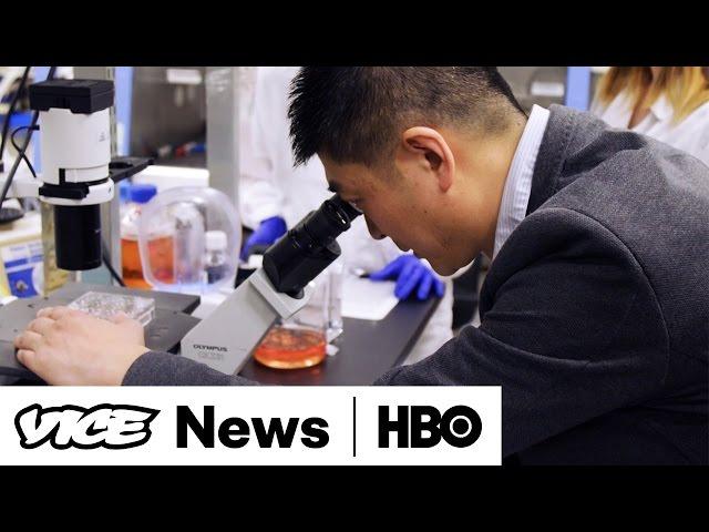 Meet The Scientists Who Created The First Human-Pig Hybrid: VICE News Tonight on HBO