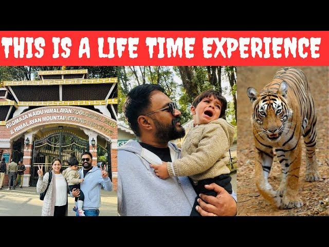 We Saw Real Bengali Tiger in West Bengal  Rannsher Darr Gya | Pinder Pawan