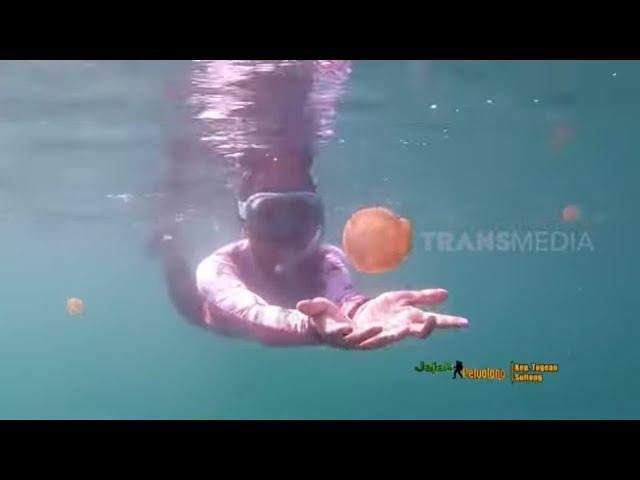 BERENANG BERSAMA UBUR UBUR | JEJAK PETUALANG (17/05/22)