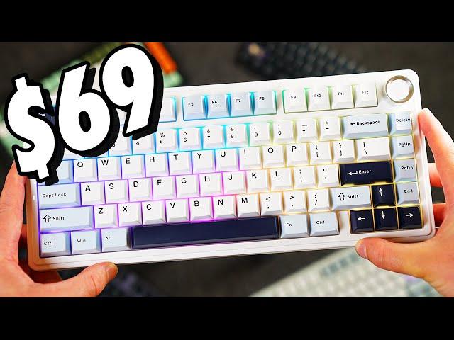 THE NEW BUDGET KING  |  AULA F75 Mechanical Keyboard Review