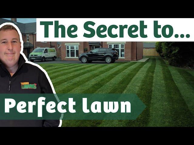 How to overseed an existing lawn for the BEST RESULTS