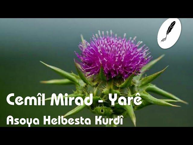 Cemîl Murad - Yarê | الفنان جميل مراد - ياري ياري [Binnivîs]