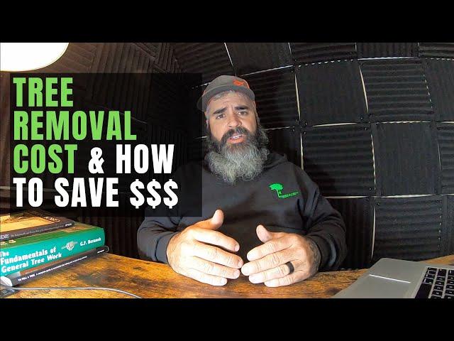 How Much Does Tree Removal Cost and Tips For Saving On Tree Removal (Sunday Special)