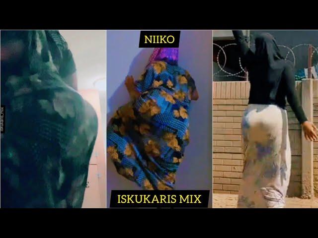 NIIKO ISKUKARIS MIX v108