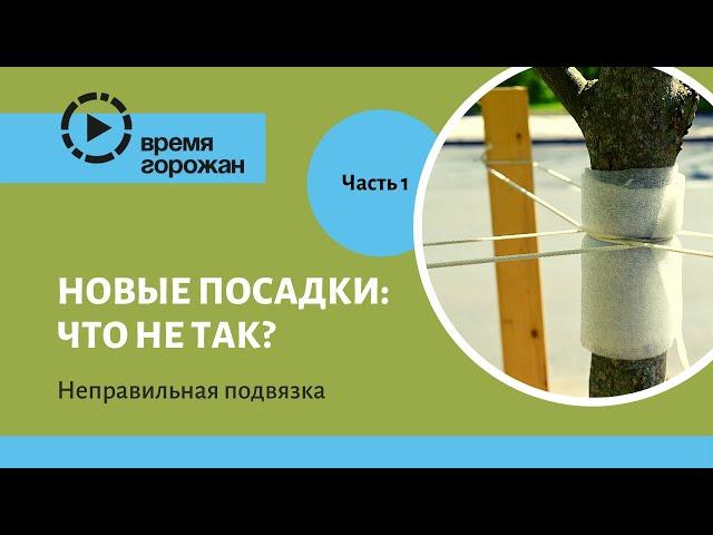 Новые посадки: что не так? Часть 1. Подвязка