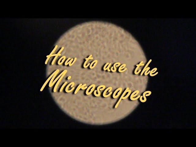 How to Use the Microscopes