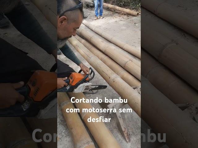 Como cortar bambu com motosserra sem desfiar