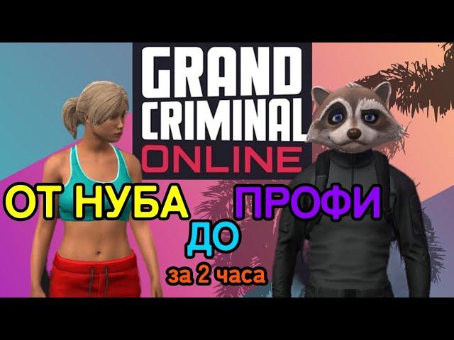 GCO правильный старт по игре Grand Criminal Online гайд