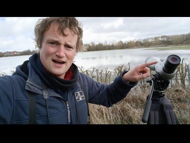 WeigelsWildeWelt - Enger Bruch: 4 Jahreszeiten und schicke Vögel