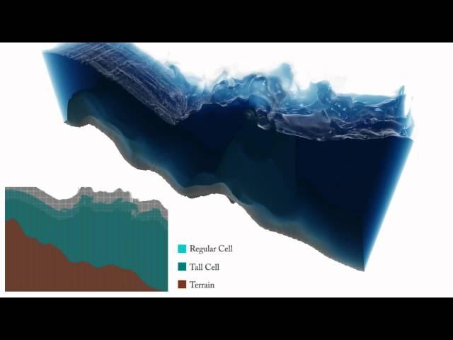 Real-Time Eulerian Water Simulation