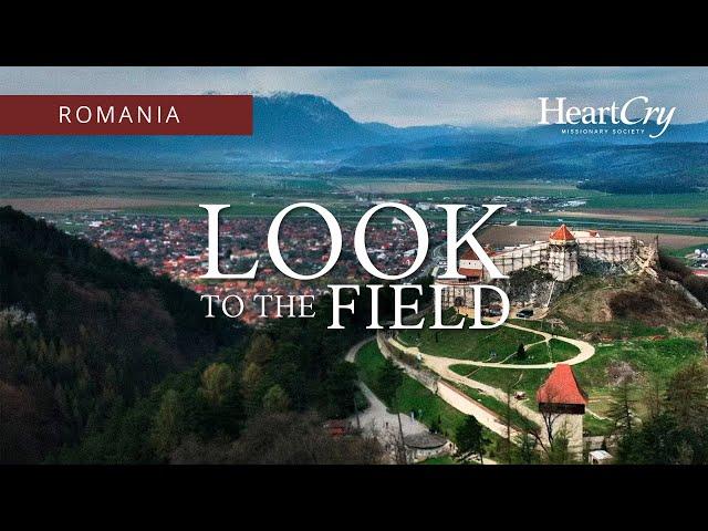 Romania | Look to the Field