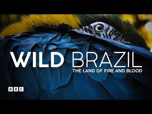 Wild Brazil | BBC Select