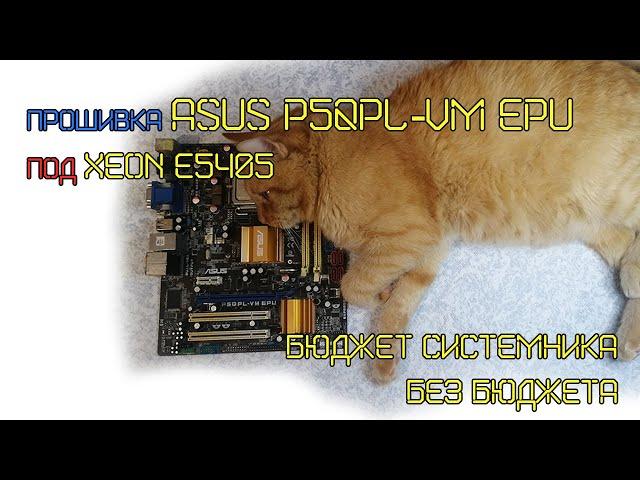 Сколько же минимум обходится комп под XEON на 775? ASUS P5QPL-VM EPU под XEON E5405.