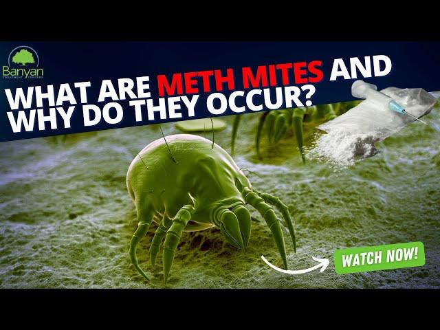 What are meth mites and why do they occur?