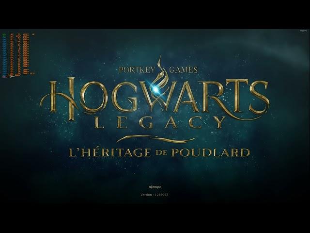 hogwarts legacy fsr 3 mod frame gen working with last game update dont enable raytacing with amd