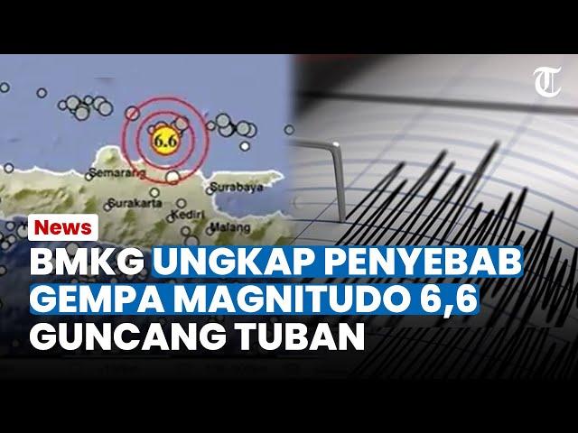 SEMPAT BUAT PANIK, BMKG Ungkap Penyebab Gempa Magnitudo 6,6 Guncang Tuban Jawa Timur