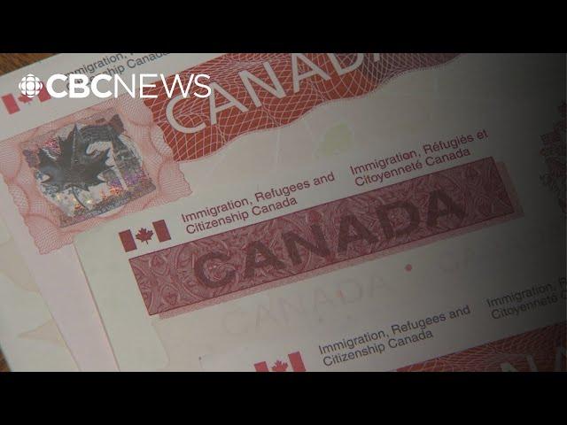 Canada’s honour-based immigration system is being 'exploited,' says criminologist