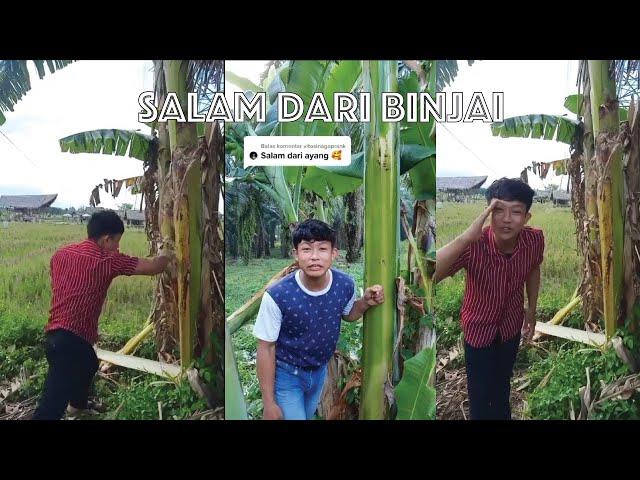 Kumpulan Video tiktok salam dari binjai | tiktok salam dari binjai yang lagi viral