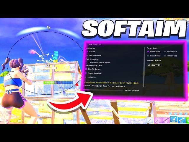 CHEATING With The Best Fortnite CHEAT in Solo Ranked  (BEST SOFTAIM)