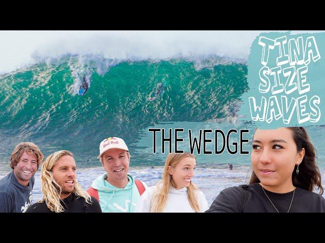 THE WEDGE IS TINA SIZE!!?? (NEWPORT, CALIFORNIA)