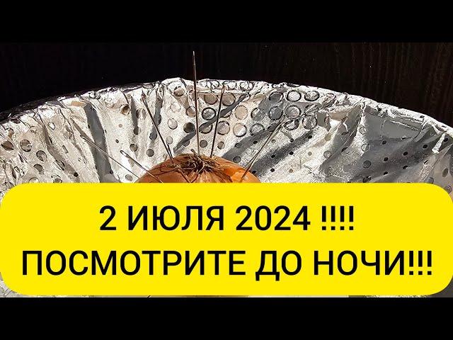 🪐 2 Июля 2024  Встаем на свой путь жизни 