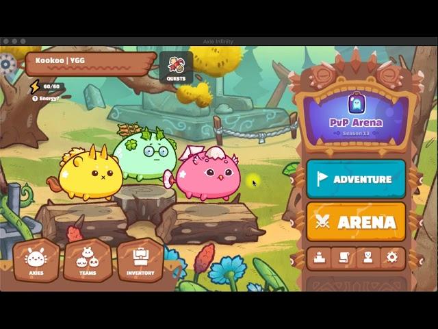 Axie Infinity Basic Battle Guide