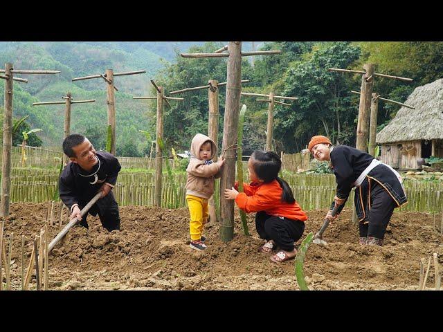 Dwarf Family Renovates Vegetable Garden | Dwarf Farm