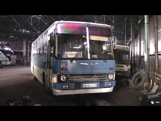 Ikarus 260.51, Ikarus 415, Ikarus 263, Ikarus 260 г Тольятти