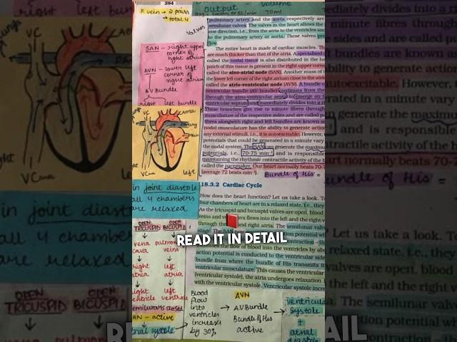 How to Read Biology NCERT🩺| 360 Scoring Tips #neet #biology #shorts