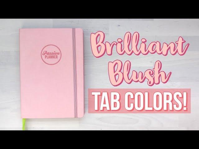 2020 BRILLIANT BLUSH Passion Planner - WHAT TABS MATCH?!