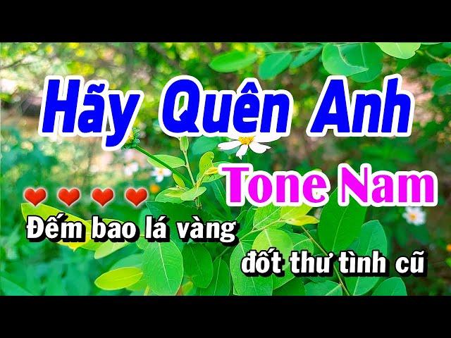 Karaoke Hãy Quên Anh Nhạc Sống Mới Dể Ca | Minh Sang