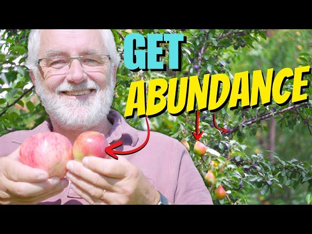 PRO TIPS to EASY Fruit Tree ABUNDANCE