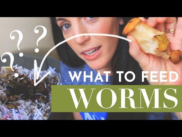 What Can Worms Eat in the Vermicompost?  |  Garden  |  Hey It's A Good Life