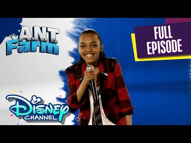 Transplanted | S1 E1 | Full Episode | A.N.T. Farm | @disneychannel