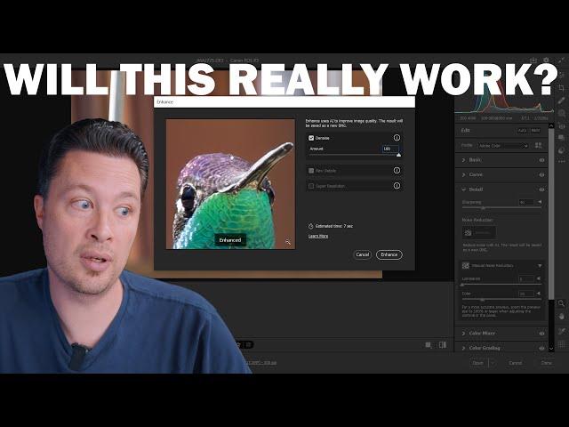 How To Use Adobe's AI Noise Reduction For Wildlife & Astrophotography