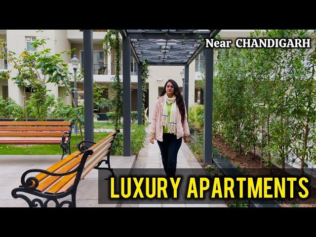 ️ Beautiful Luxury Society near Chandigarh | Luxury Flats in Zirakpur | Flats near Chandigarh