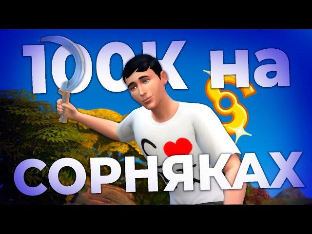 поднял 100к на сорняках в симс 4