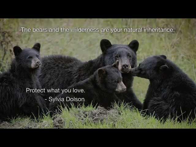 Get Bear Smart Mandate