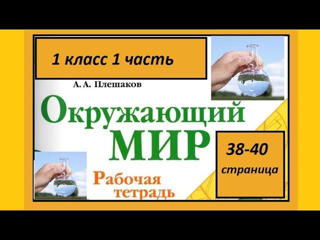 Окружающий мир 1 класс Откуда в наш дом приходит вода? страница 38-40