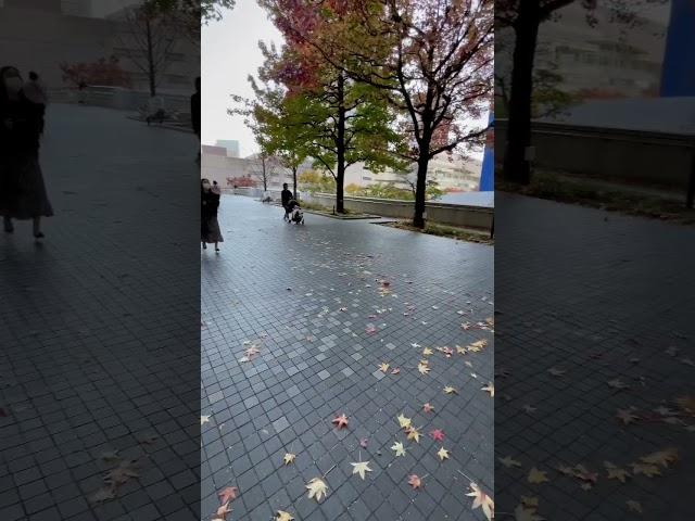 Autumn breeze at Minato mirai Yokohama