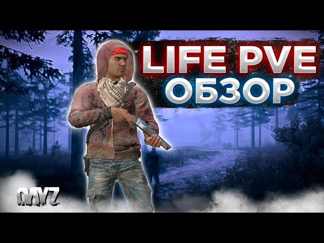 DAYZ 1.24 | ОБЗОР ПРОЕКТА LIFE PVE | БОТЫ | АВТО ИВЕНТЫ | КРАФТ | ВЫЖИВАЧ #1