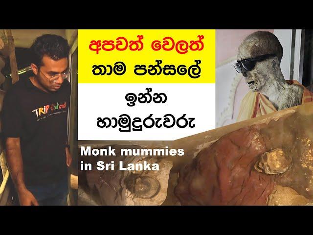 Monk mummy collection in Sri Lanka | TRIP PISSO