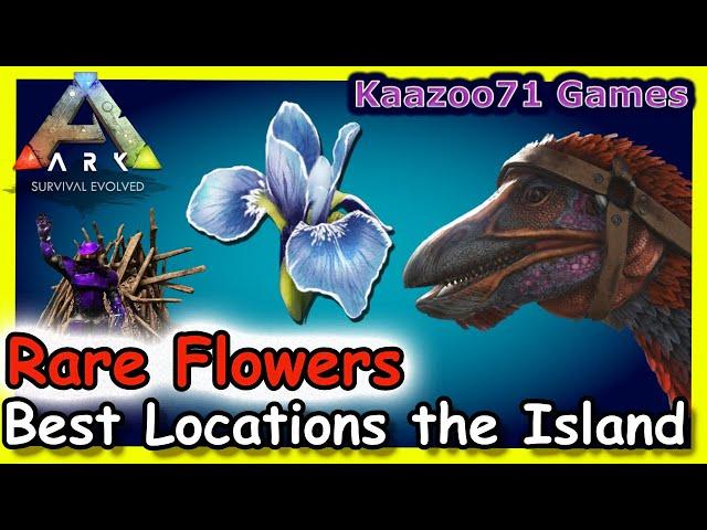 Rare Flower Locations on the Island Ark 