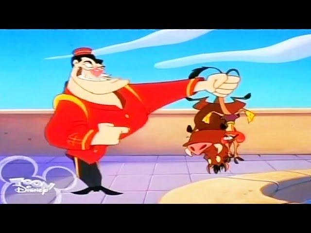 Timon & Pumbaa Season 1x26A - Palm Beached  Full Episode