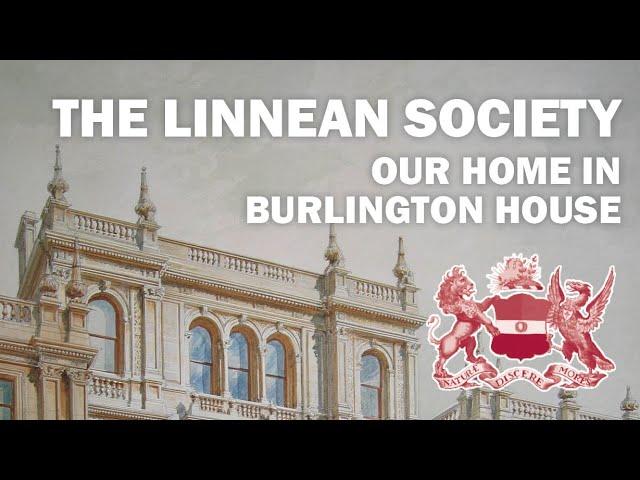 The Linnean Society of London in Burlington House