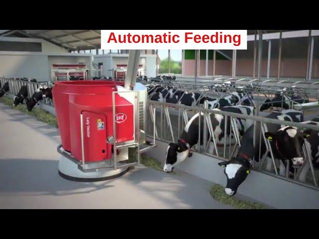 Lely Vector - Improve the feeding kitchen in farming via innovation and technology - Animation - EN