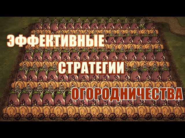 Гайд по ОГОРОДУ для профи. Донт Старв Тугезер